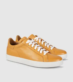 Alfons Low Top sneakers by Brando