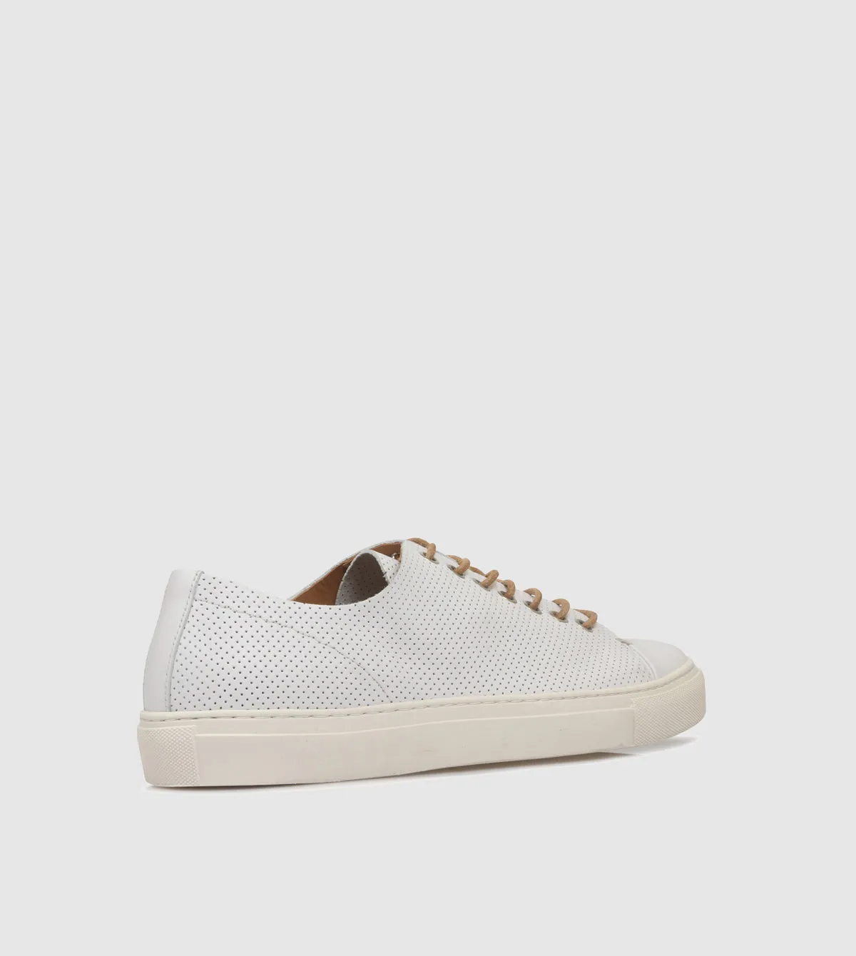 Eagan Low Top sneakers by Brando