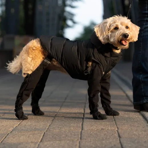 Waterproof boots for pets Ultimate Paw Protection