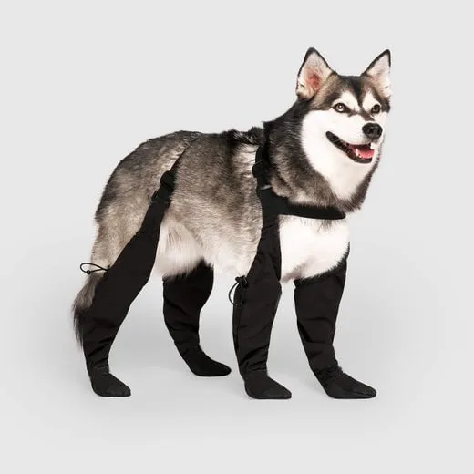 Waterproof boots for pets Ultimate Paw Protection