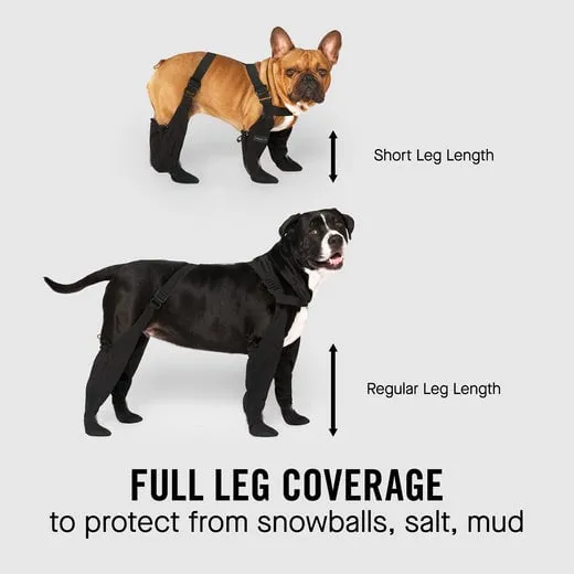 Waterproof boots for pets Ultimate Paw Protection